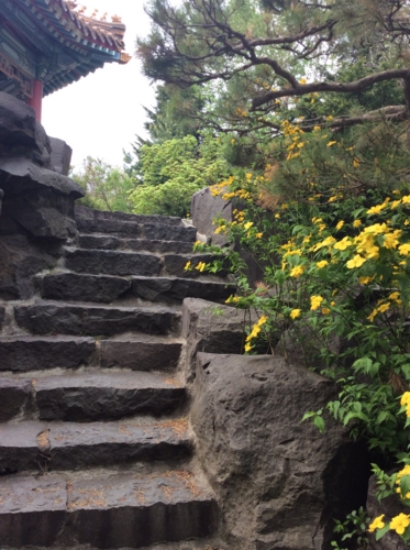 f:id:waltham70:20140516152136j:plain f:id:waltham70:20140516152136j:plain