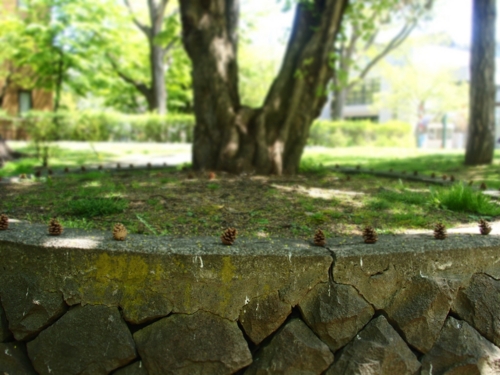 f:id:waltham70:20150512231459j:plain f:id:waltham70:20150512231459j:plain