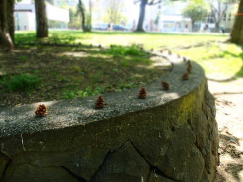 f:id:waltham70:20150512231504j:plain f:id:waltham70:20150512231504j:plain