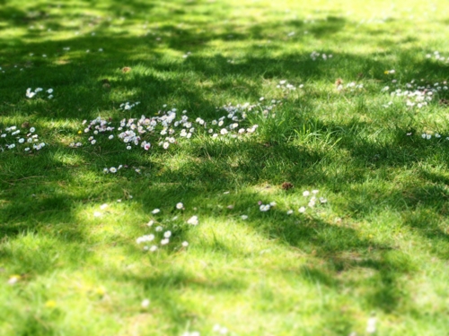 f:id:waltham70:20150512231508j:plain f:id:waltham70:20150512231508j:plain