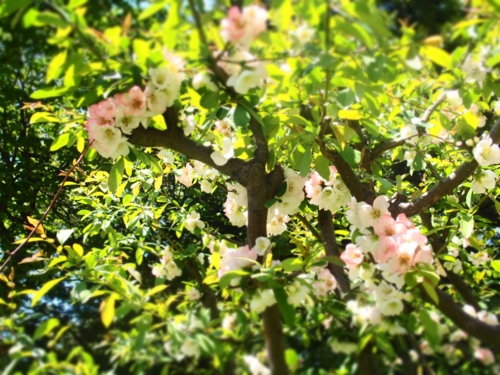 f:id:waltham70:20150512231513j:plain f:id:waltham70:20150512231513j:plain