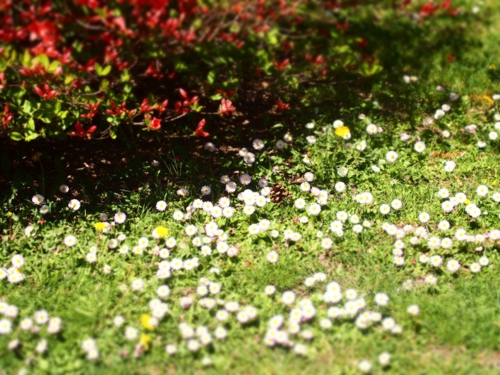 f:id:waltham70:20150512231645j:plain f:id:waltham70:20150512231645j:plain