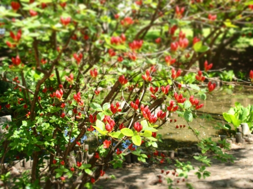 f:id:waltham70:20150512231704j:plain f:id:waltham70:20150512231704j:plain