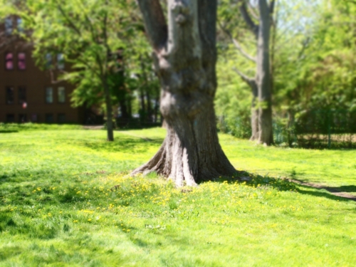 f:id:waltham70:20150512231858j:plain f:id:waltham70:20150512231858j:plain