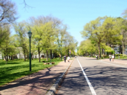 f:id:waltham70:20150512231906j:plain f:id:waltham70:20150512231906j:plain