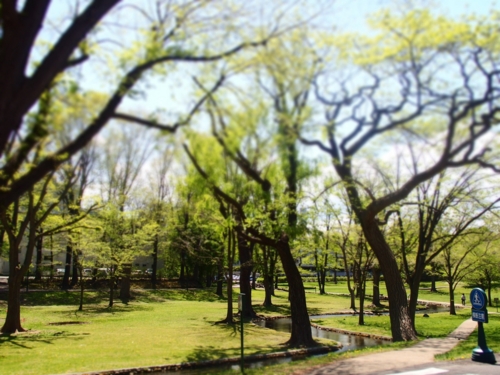 f:id:waltham70:20150512231910j:plain f:id:waltham70:20150512231910j:plain