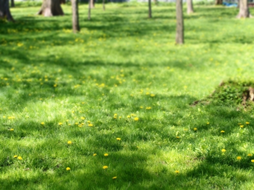 f:id:waltham70:20150512232037j:plain f:id:waltham70:20150512232037j:plain