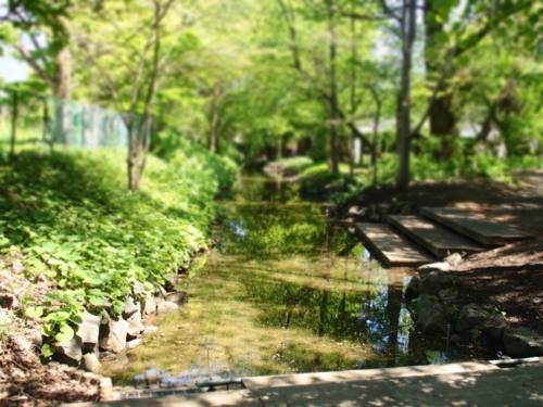 f:id:waltham70:20150512232212j:plain f:id:waltham70:20150512232212j:plain