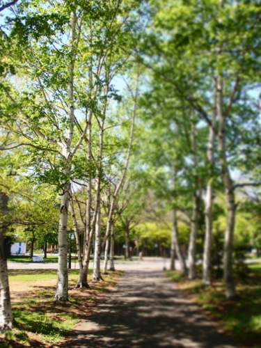 f:id:waltham70:20150512232225j:plain f:id:waltham70:20150512232225j:plain