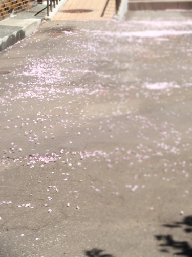 f:id:waltham70:20150512232237j:plain f:id:waltham70:20150512232237j:plain