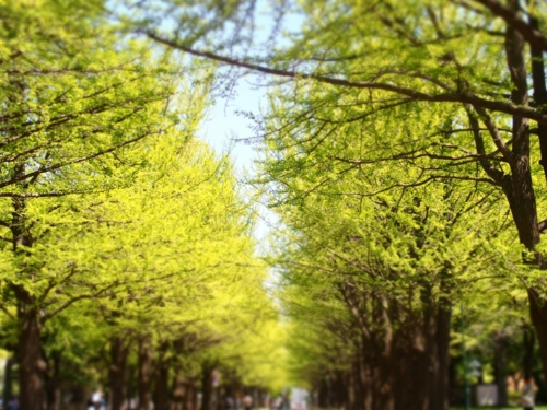 f:id:waltham70:20150512232421j:plain f:id:waltham70:20150512232421j:plain