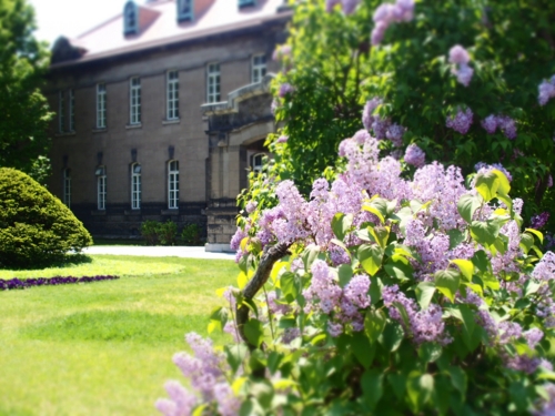 f:id:waltham70:20150526124730j:plain f:id:waltham70:20150526124730j:plain