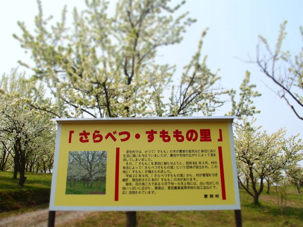 f:id:waltham70:20160523004501j:plain f:id:waltham70:20160523004501j:plain