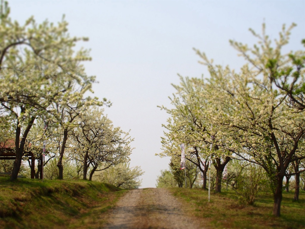 f:id:waltham70:20160523004523j:plain f:id:waltham70:20160523004523j:plain