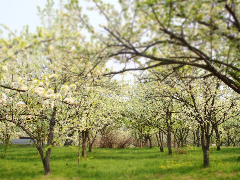 f:id:waltham70:20160523004551j:plain f:id:waltham70:20160523004551j:plain