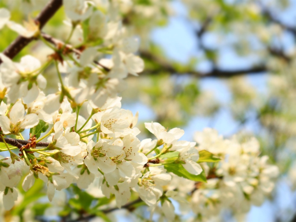 f:id:waltham70:20160523004639j:plain f:id:waltham70:20160523004639j:plain