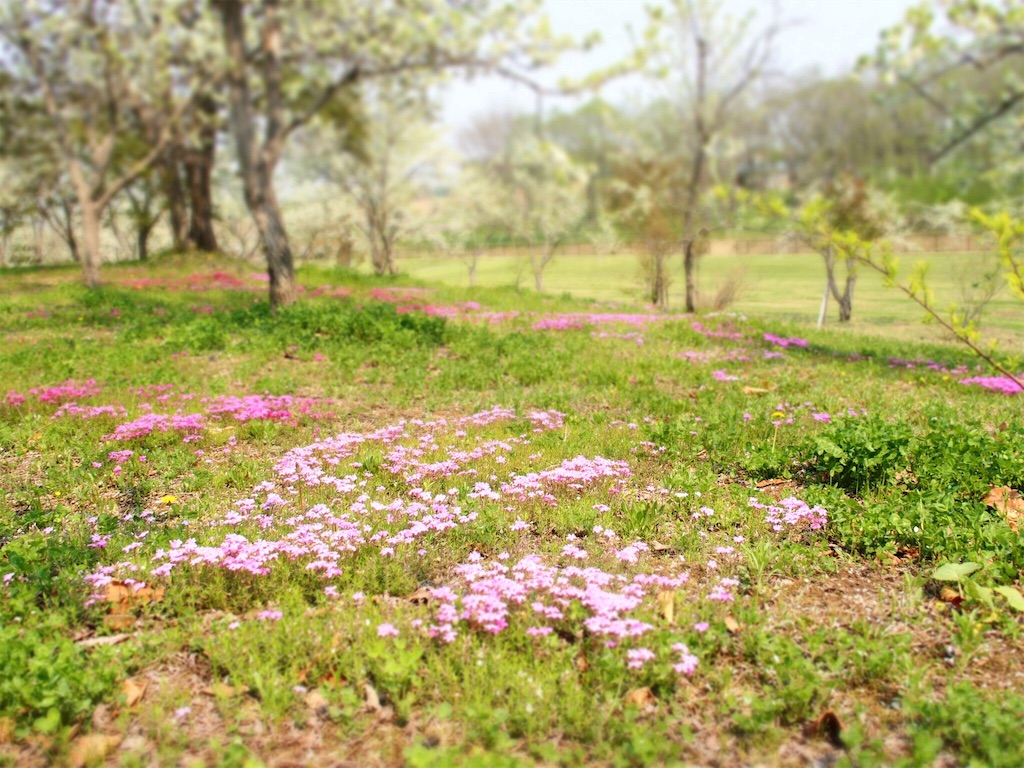 f:id:waltham70:20160523004702j:plain f:id:waltham70:20160523004702j:plain