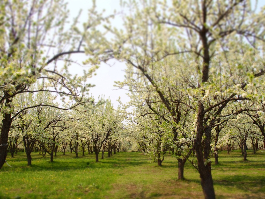 f:id:waltham70:20160523004722j:plain f:id:waltham70:20160523004722j:plain