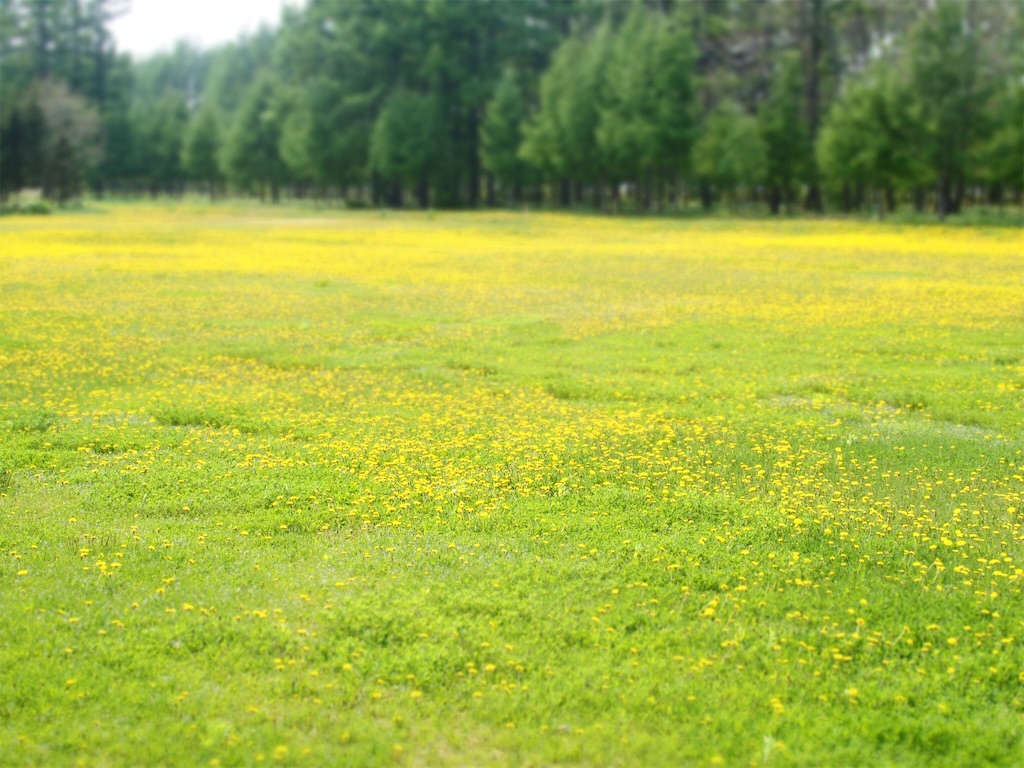 f:id:waltham70:20160523004739j:plain f:id:waltham70:20160523004739j:plain