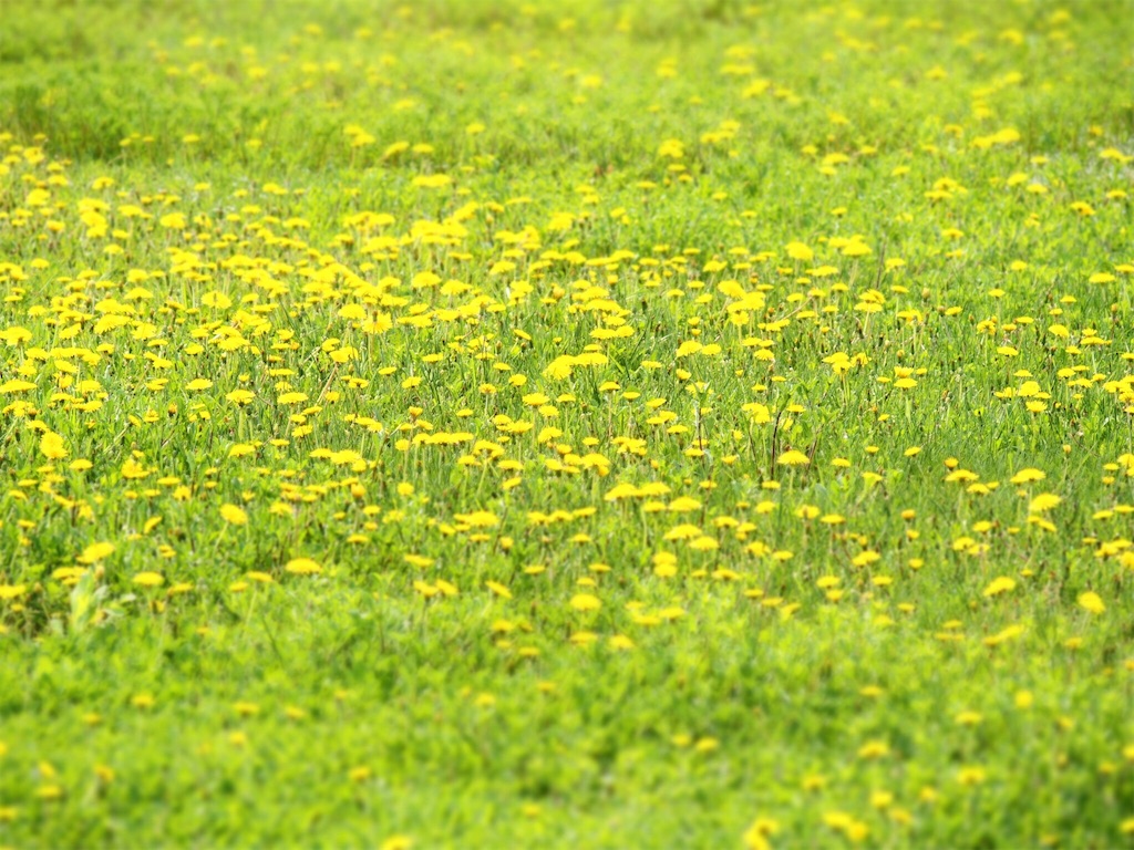 f:id:waltham70:20160523004749j:plain f:id:waltham70:20160523004749j:plain