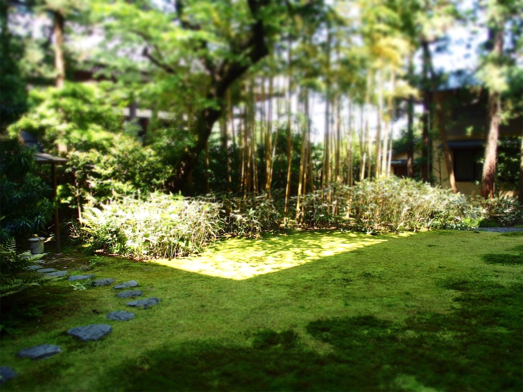 f:id:waltham70:20160605214336j:plain