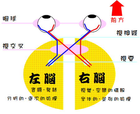 f:id:waman:20070826154816p:image f:id:waman:20070826154816p:image