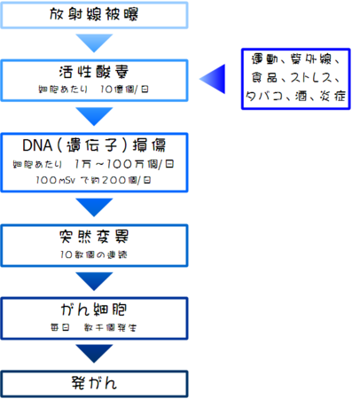 f:id:waman:20110418155913p:image f:id:waman:20110418155913p:image