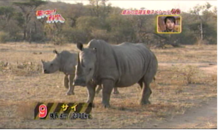 f:id:waman:20120602090321p:image f:id:waman:20120602090321p:image