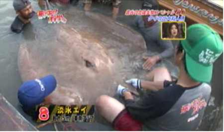 f:id:waman:20120602090340p:image f:id:waman:20120602090340p:image
