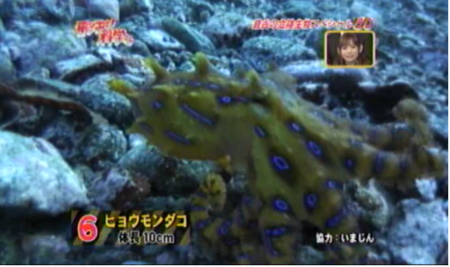 f:id:waman:20120602090401p:image f:id:waman:20120602090401p:image