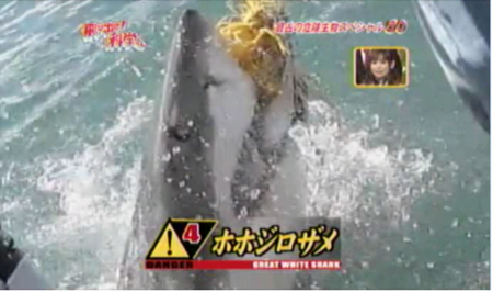 f:id:waman:20120602090412p:image f:id:waman:20120602090412p:image