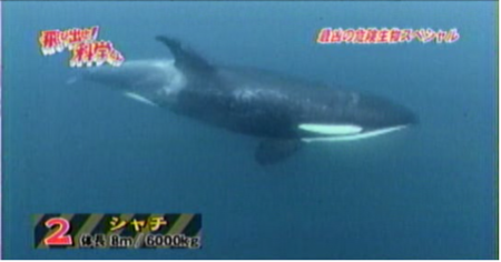 f:id:waman:20120602090424p:image f:id:waman:20120602090424p:image
