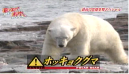 f:id:waman:20120602090430p:image f:id:waman:20120602090430p:image