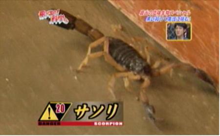 f:id:waman:20120602090934p:image f:id:waman:20120602090934p:image