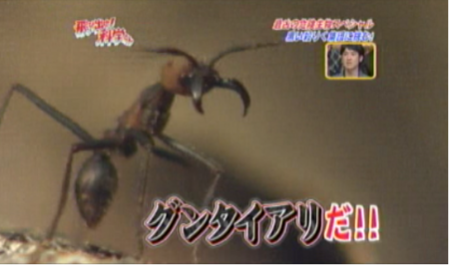 f:id:waman:20120602090943p:image f:id:waman:20120602090943p:image