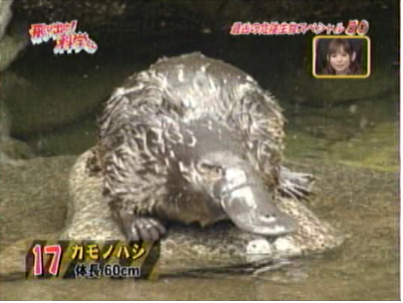 f:id:waman:20120602090958p:image f:id:waman:20120602090958p:image