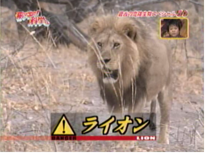 f:id:waman:20120602091007p:image f:id:waman:20120602091007p:image