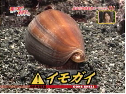 f:id:waman:20120602091013p:image f:id:waman:20120602091013p:image