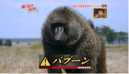 f:id:waman:20120602091041p:image f:id:waman:20120602091041p:image