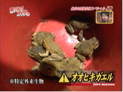 f:id:waman:20120604222100p:image f:id:waman:20120604222100p:image