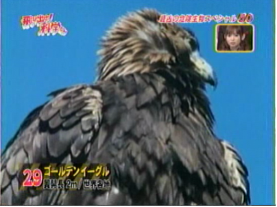f:id:waman:20120604222108p:image f:id:waman:20120604222108p:image