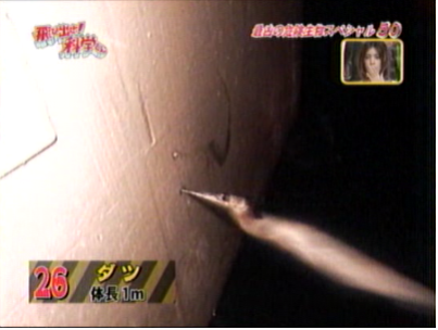 f:id:waman:20120604222136p:image f:id:waman:20120604222136p:image