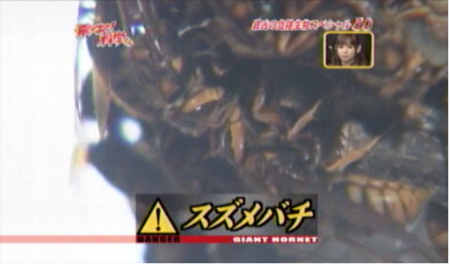 f:id:waman:20120604222145p:image f:id:waman:20120604222145p:image