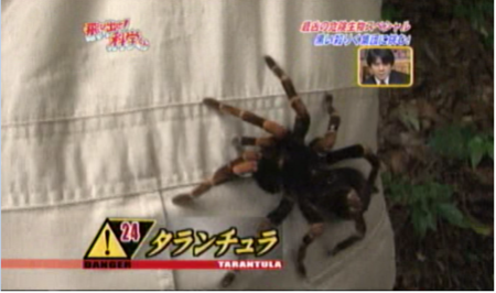 f:id:waman:20120604222157p:image f:id:waman:20120604222157p:image