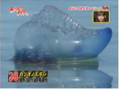 f:id:waman:20120625231548p:image f:id:waman:20120625231548p:image