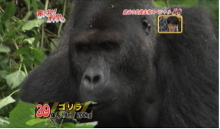f:id:waman:20120625231553p:image f:id:waman:20120625231553p:image