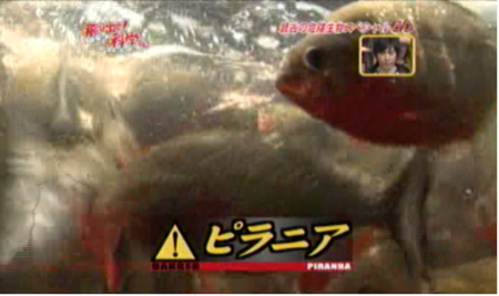 f:id:waman:20120625231726p:image f:id:waman:20120625231726p:image