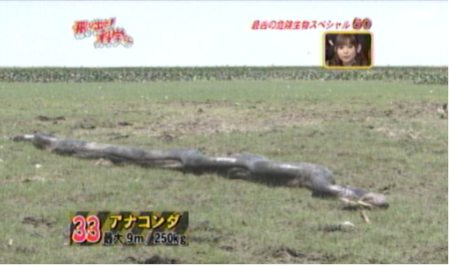 f:id:waman:20120625231728p:image f:id:waman:20120625231728p:image