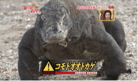 f:id:waman:20120630105423p:image f:id:waman:20120630105423p:image