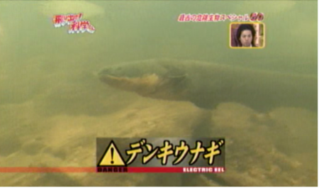 f:id:waman:20120701053012p:image f:id:waman:20120701053012p:image
